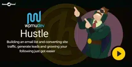 14-5-900x457-1-430x218-1-1_23171a WPMU DEV Hustle Pro - Image 1