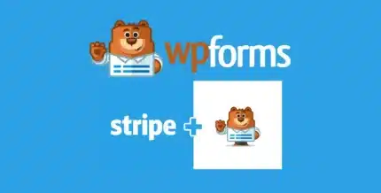 6-900x457-1-430x218-1-1_522f2f WPForms Stripe Addon - Image 1