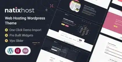 Natix-Web-Hosting-WordPress-Theme-Nulled-430x219-1_c30c67 Natix – Web Hosting WordPress Theme - Image 1
