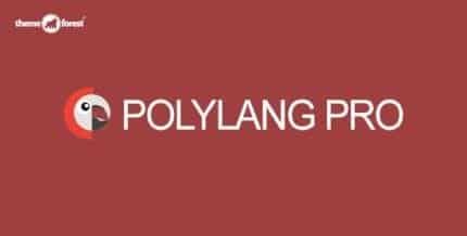 Polylang-Pro-430x218-1_098564 Polylang Pro - Image 1