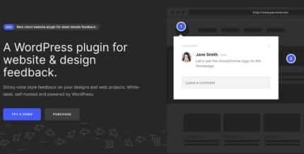 ProjectHuddle-E28093-WP-Plugin-For-Designers-Developers-900x457-1-430x218-1_b1d4d4 ProjectHuddle – WP Plugin For Designers & Developers - Image 1