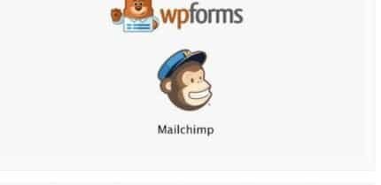 Screenshot-2025-01-06-at-17-34-34-WPForms-MailChimp-Addon-2.4.0-PlugCart-430x209-1-1_aed8f7 WPForms MailChimp Addon - Image 1