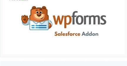 Screenshot-2025-01-09-at-13-39-57-WPForms-Salesforce-Addon-1.4.0-PlugCart-430x224-1-1_5adf16 WPForms Salesforce Addon - Image 1