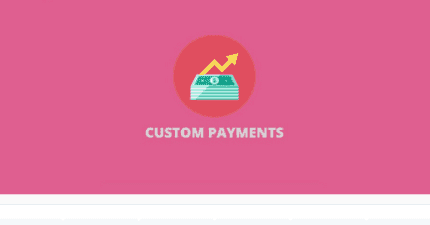 Screenshot-2025-01-14-at-18-12-55-Custom-Payment-Gateway-Pro-E28093-Extension-for-WooCommerce-2.9.0-PlugCart-430x225-1_0bfca8 WooCommerce Custom Payment Gateway Pro - Image 1