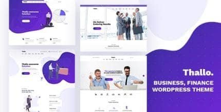 Thallo-E28093-Consulting-Finance-WordPress-Theme-1-430x219-1_1e8df2 Thallo – Consulting & Finance WordPress Theme - Image 1