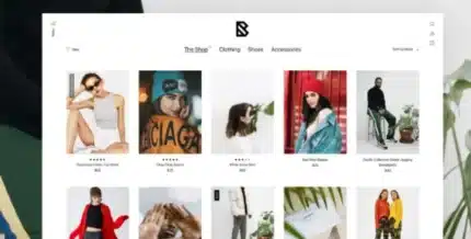 Untitled-design3-430x218-1_ed359c Block Shop WooCommerce Theme - Image 1